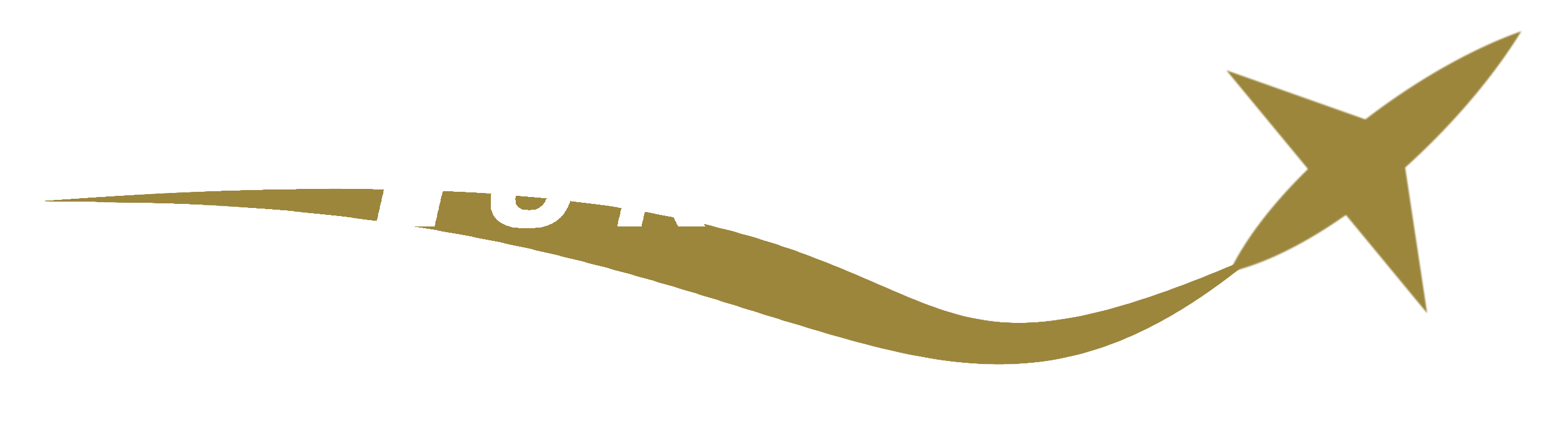 Falcon Furious Display Team